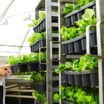 karriere-industrie4-automatisierung-personalgewinnung-ingenieure